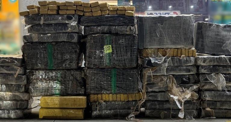 FICCO/PR apreende cerca de 700 kg de maconha