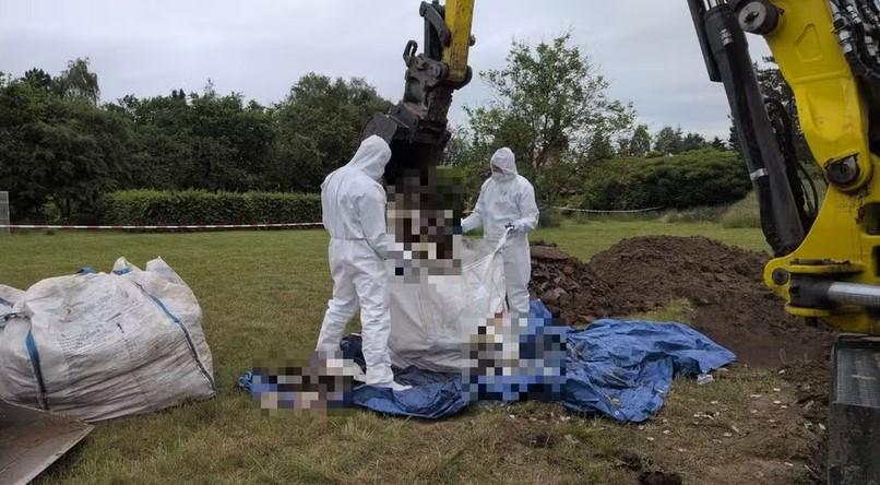 Mais de 30 fetos são encontrados em jardim de médica