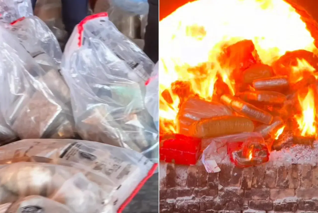 Mais de 320 kg de drogas são incinerados pela Polícia Civil