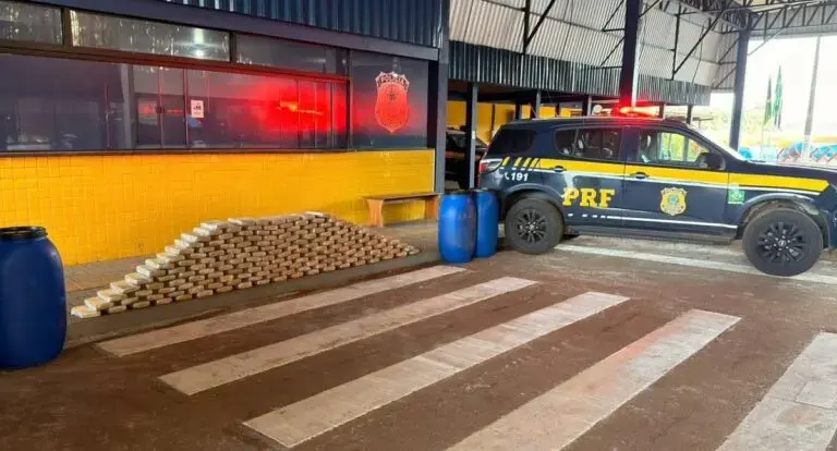  PRF em Rondônia apreende quase 200 Kg de Skunk na BR-364 
