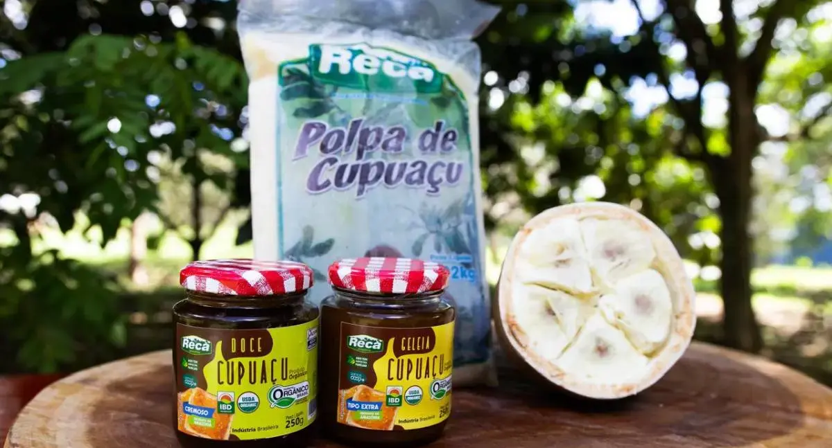 Projeto Reca ganha destaque na maior feira de produtos orgânicos da América Latina