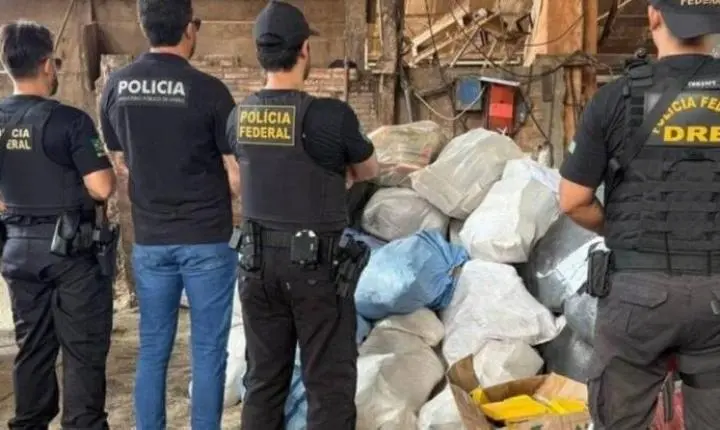 Polícia Federal destrói mais de 1,3 tonelada de drogas apreendidas em operações contra o tráfico em Rondônia